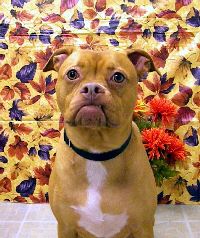 Roxy Thanks 10.jpg